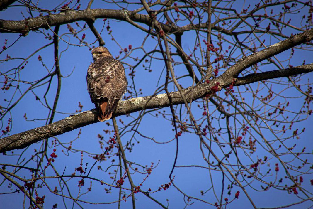 What Happened to the Cast After the Film Failed